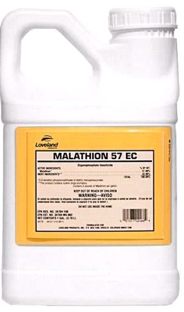 Malathion 57 1 Gal Jug – 4 per Case - Insecticides
